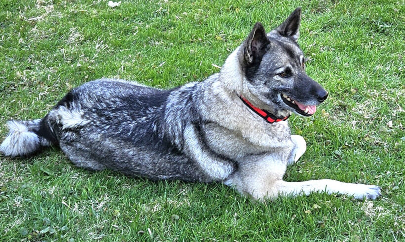 Skye