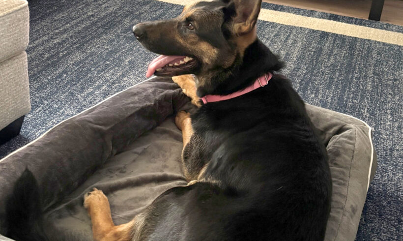 Jax
