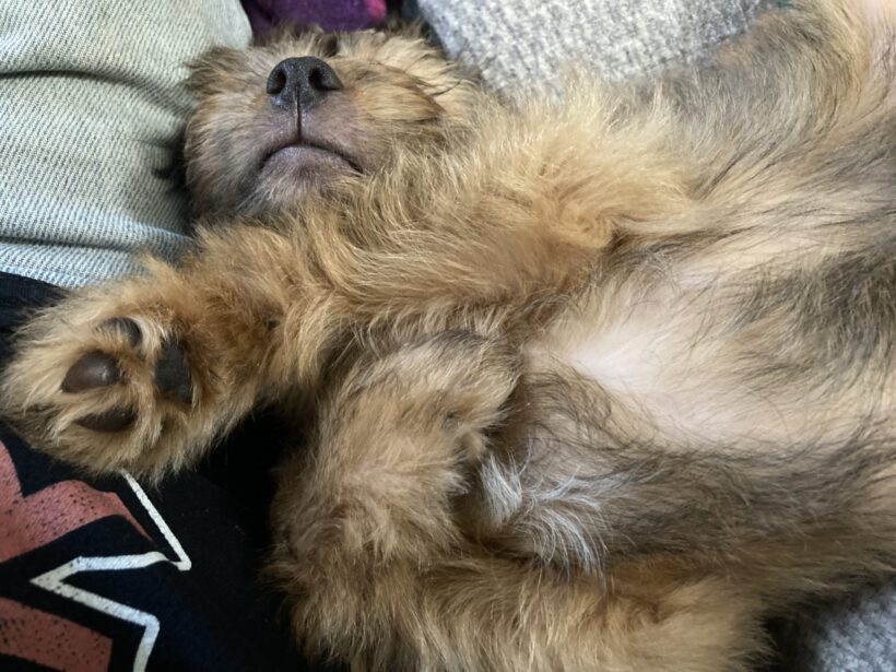 Nebuchadnezzar & Dormammu Nebuchadnezzar & Dormammu