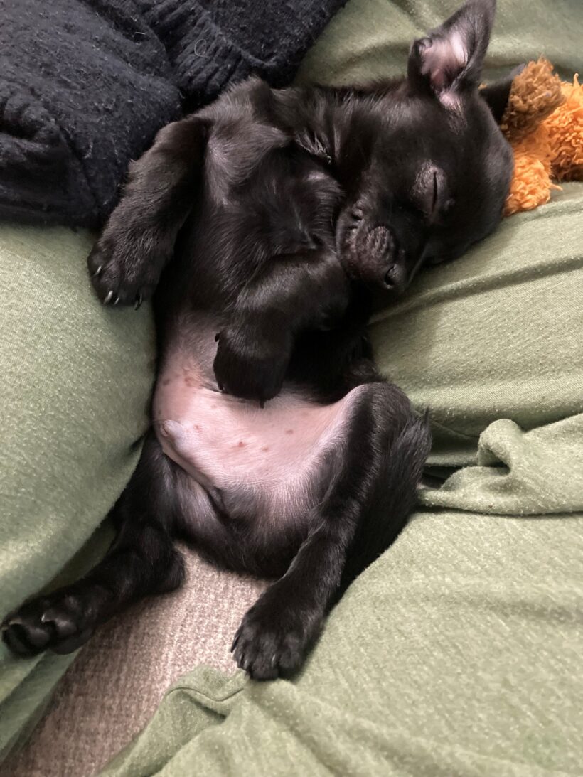 Nebuchadnezzar & Dormammu Nebuchadnezzar & Dormammu