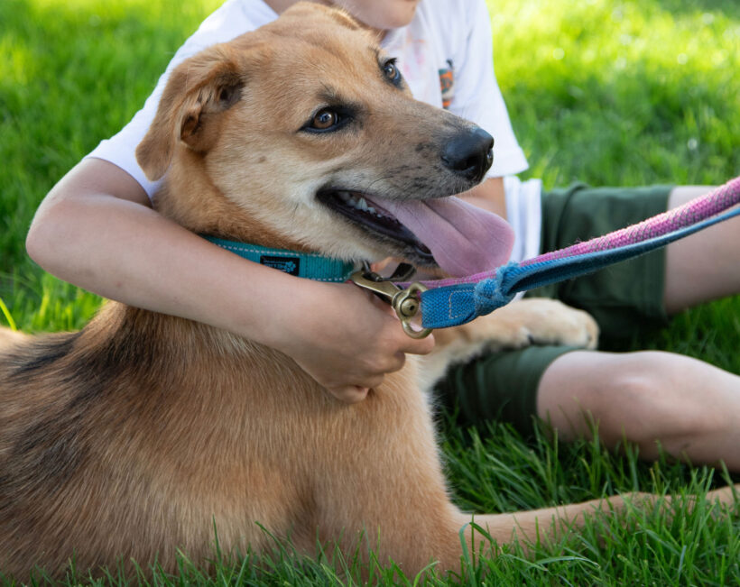 Carmy-Adopted!