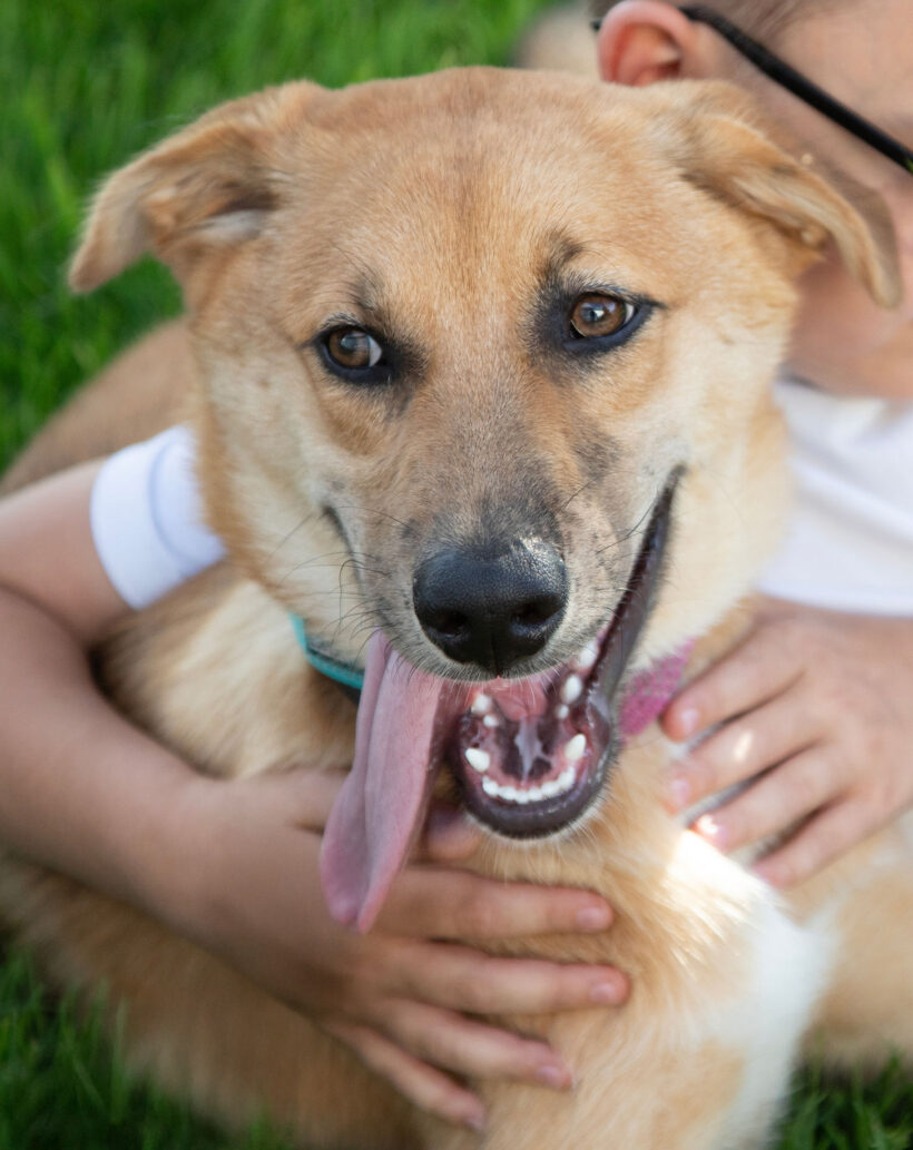 Carmy-Adopted!