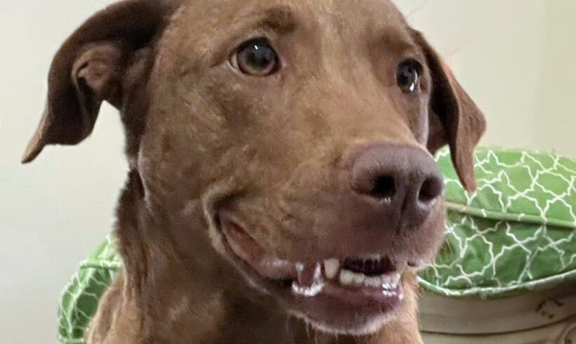 Baby-Adopted!