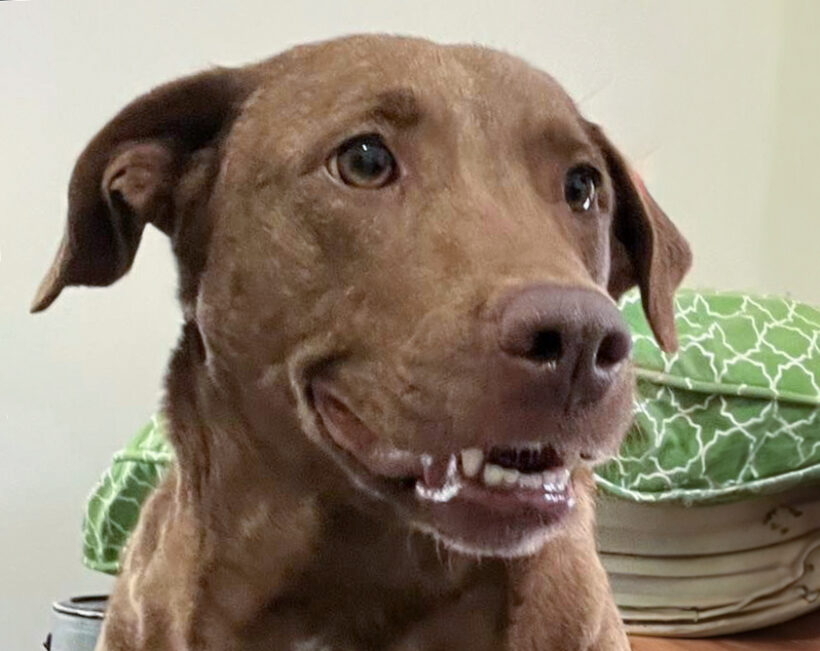 Baby-Adopted!