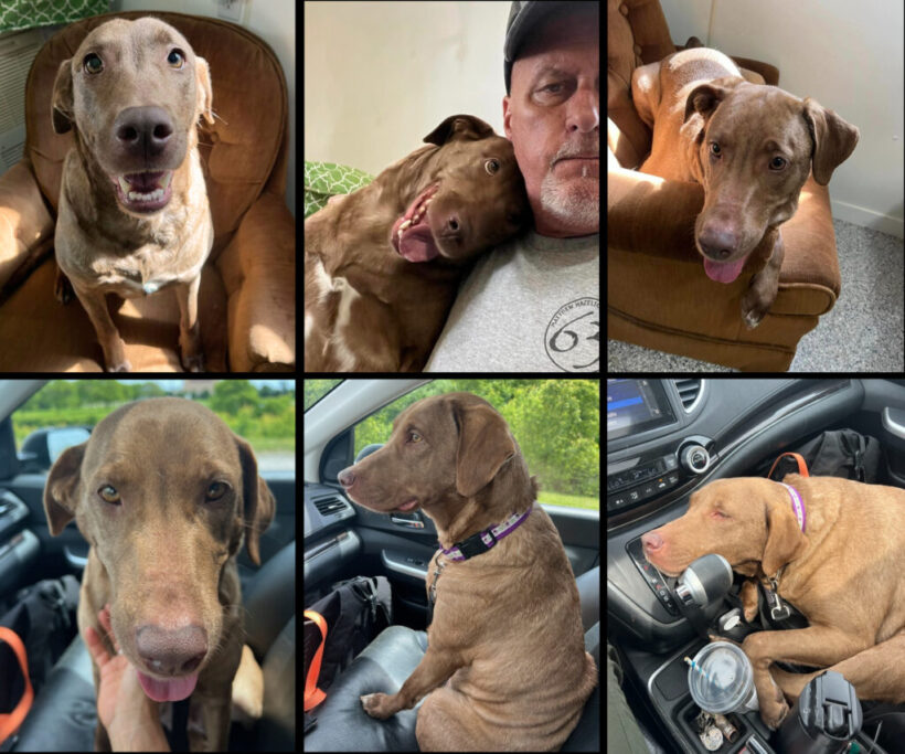 Baby-Adopted!