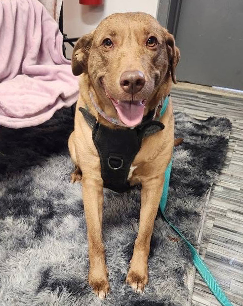 Baby-Adopted!