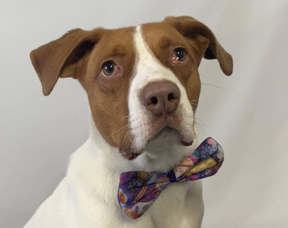 Maximillian Maximillian