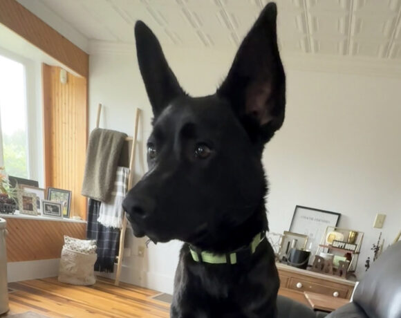 Oliver