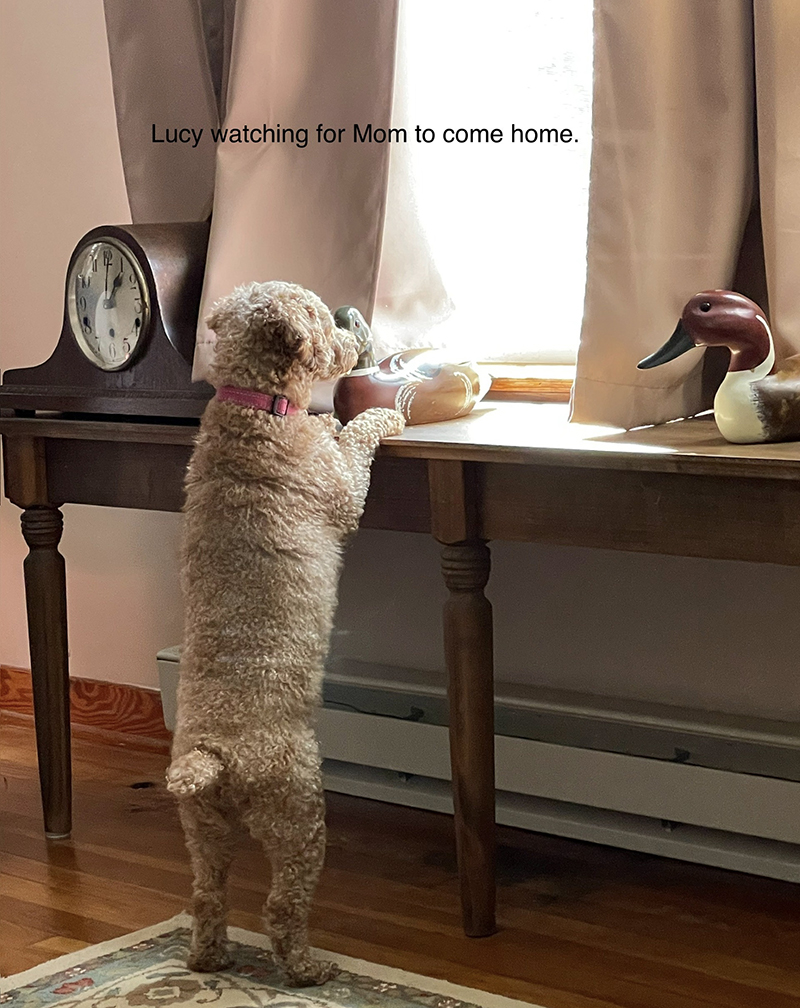 Lucy Lou