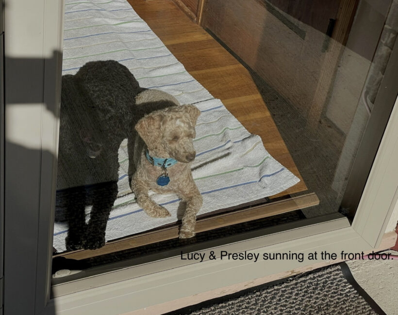 Lucy Lou