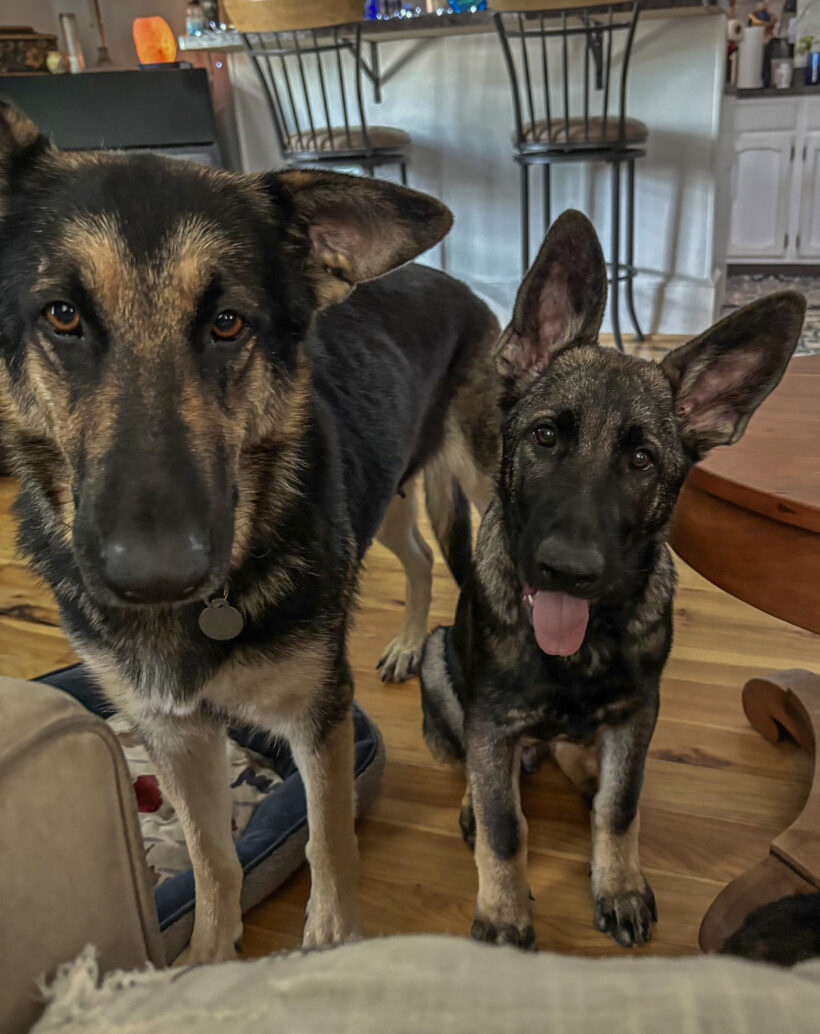 Willow & Milo