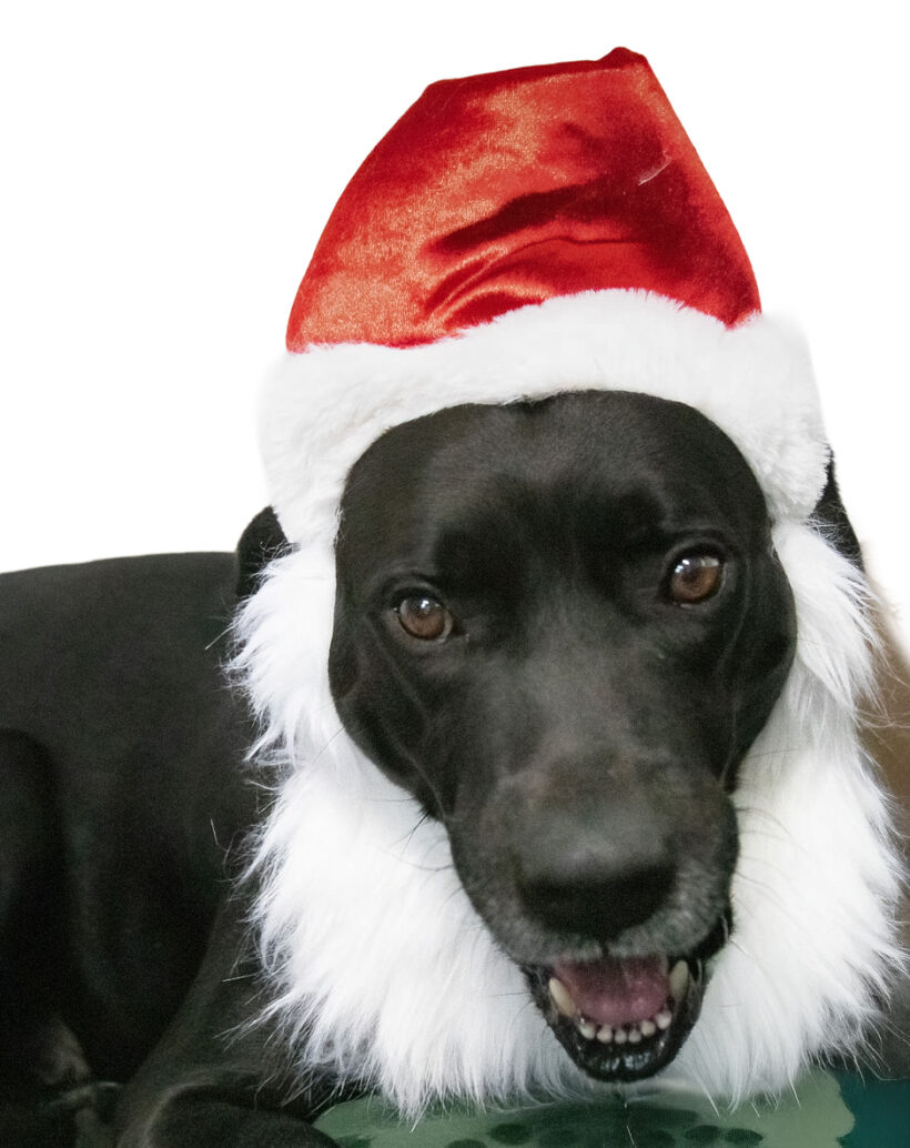 Duke Silver Duke Silver