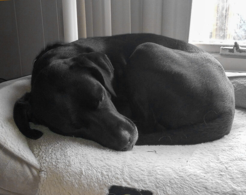 Duke Silver Duke Silver