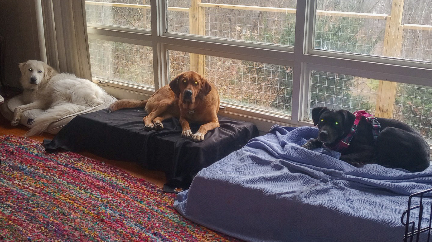 Duke Silver Duke Silver