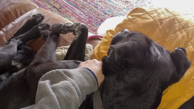 Duke Silver Duke Silver