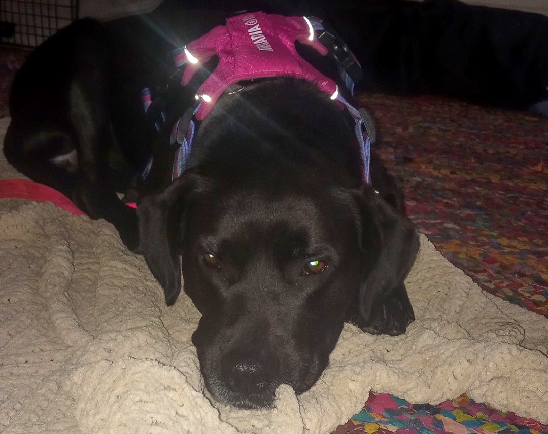 Duke Silver Duke Silver