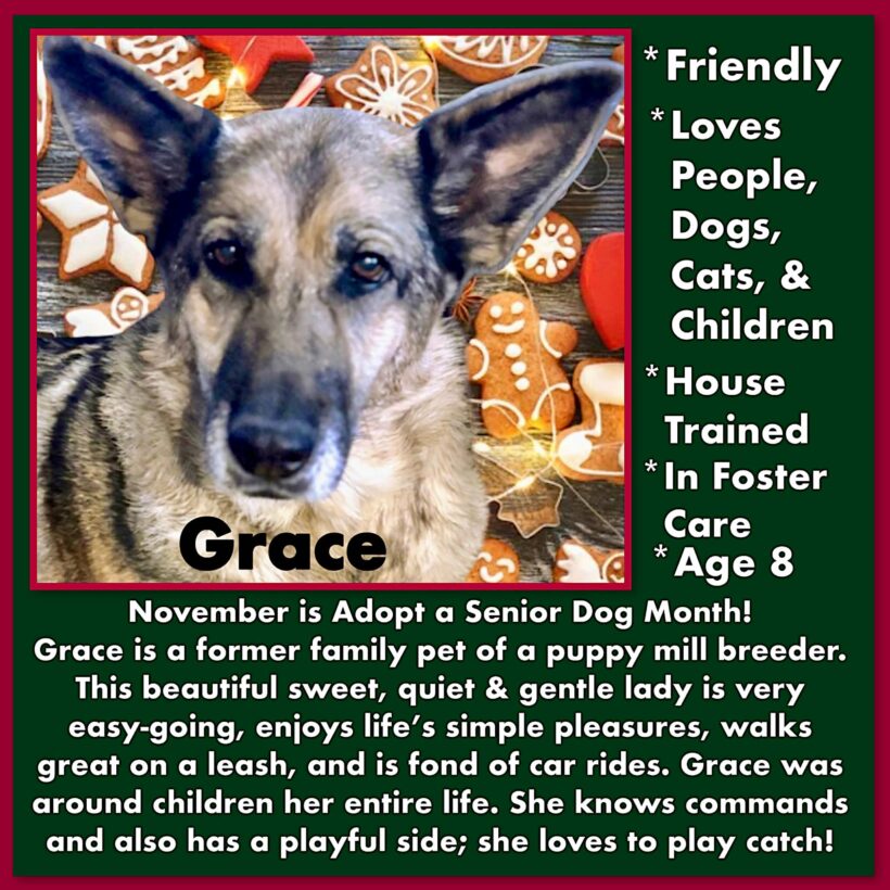 Grace-Adopted!