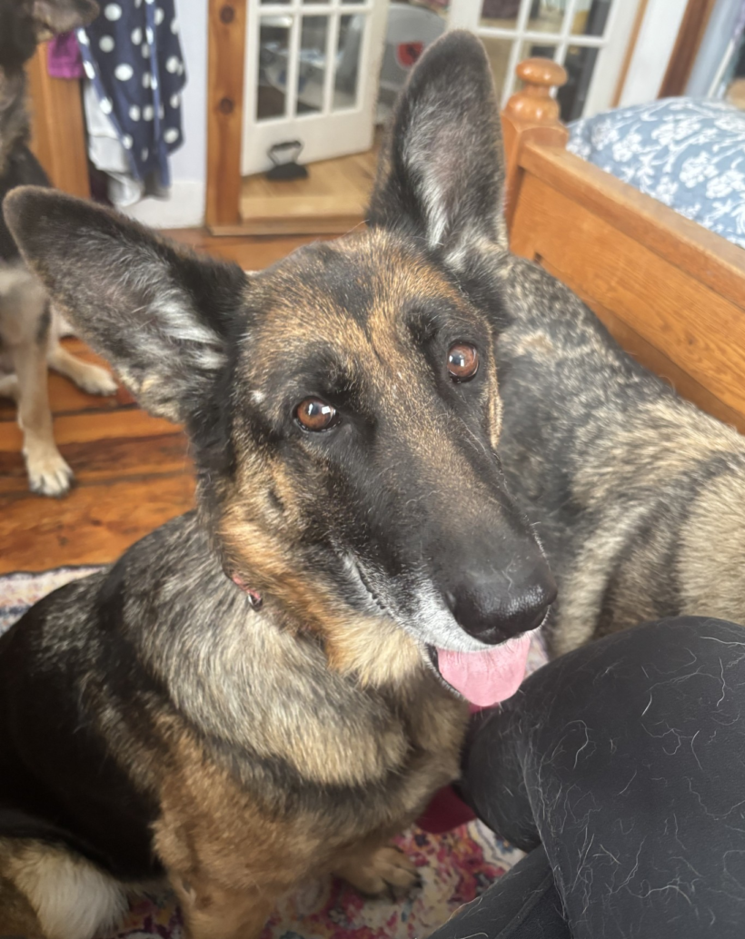 Violet-Available Soon