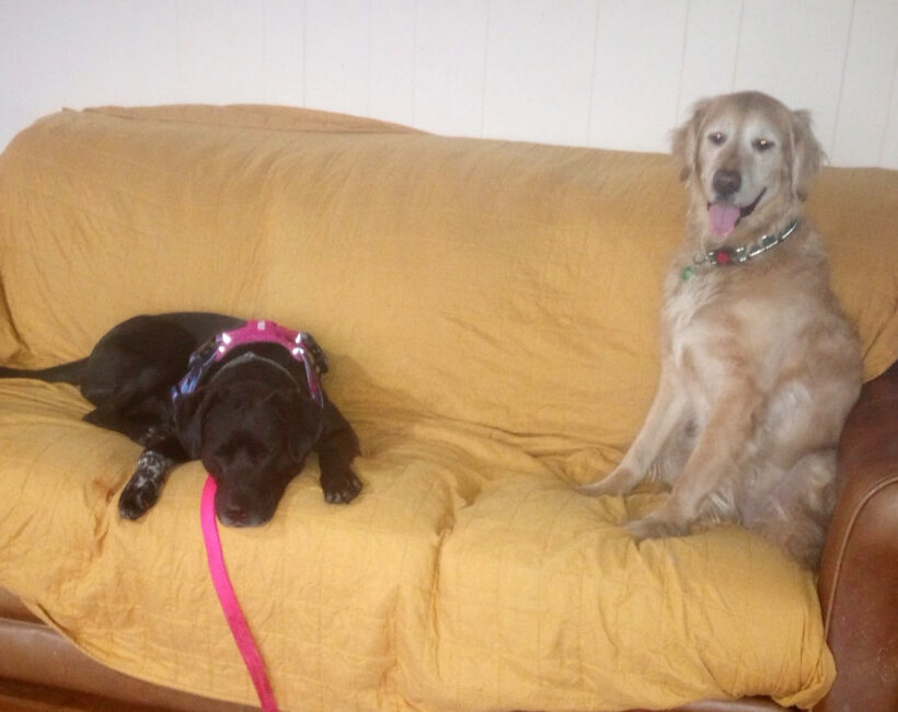 Duke Silver Duke Silver