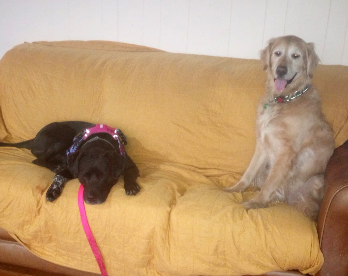 Duke Silver Duke Silver