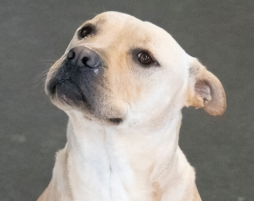 Jeremy Chubbs Jeremy Chubbs