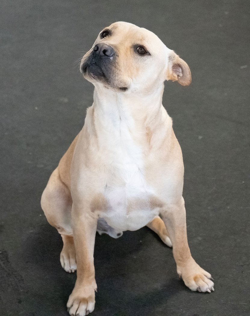 Jeremy Chubbs Jeremy Chubbs