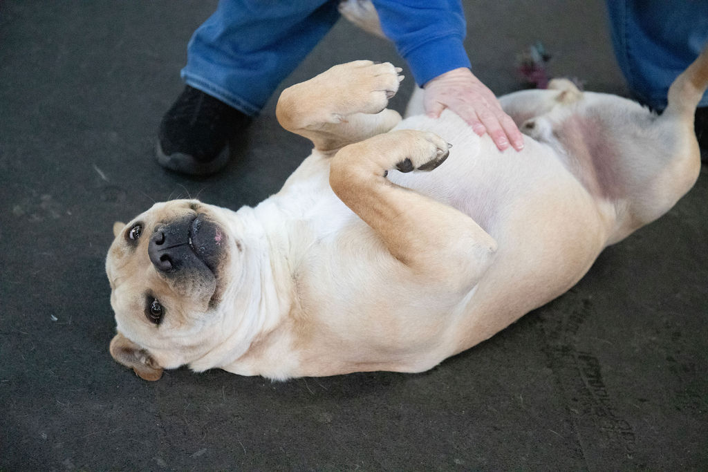 Jeremy Chubbs Jeremy Chubbs