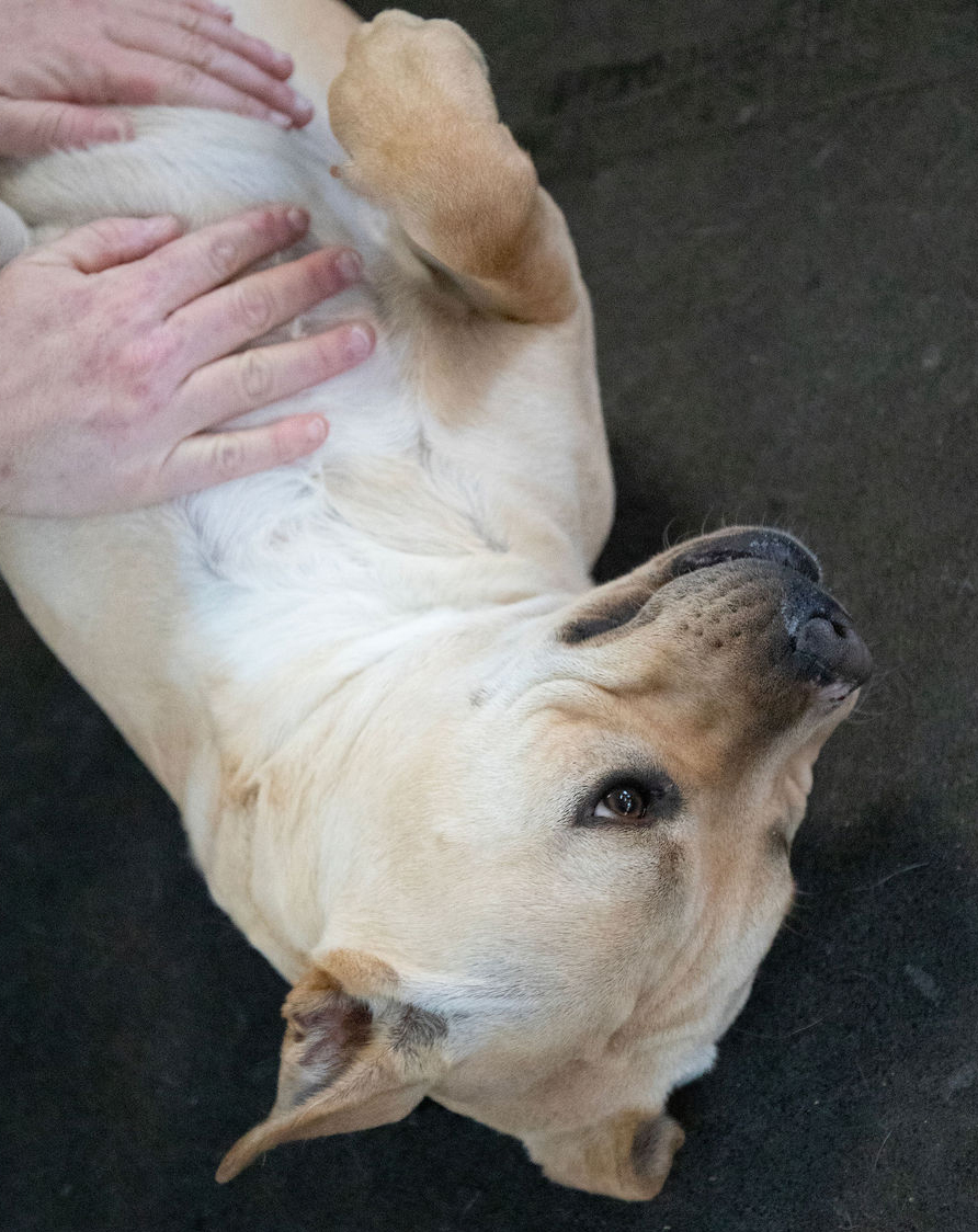 Jeremy Chubbs Jeremy Chubbs