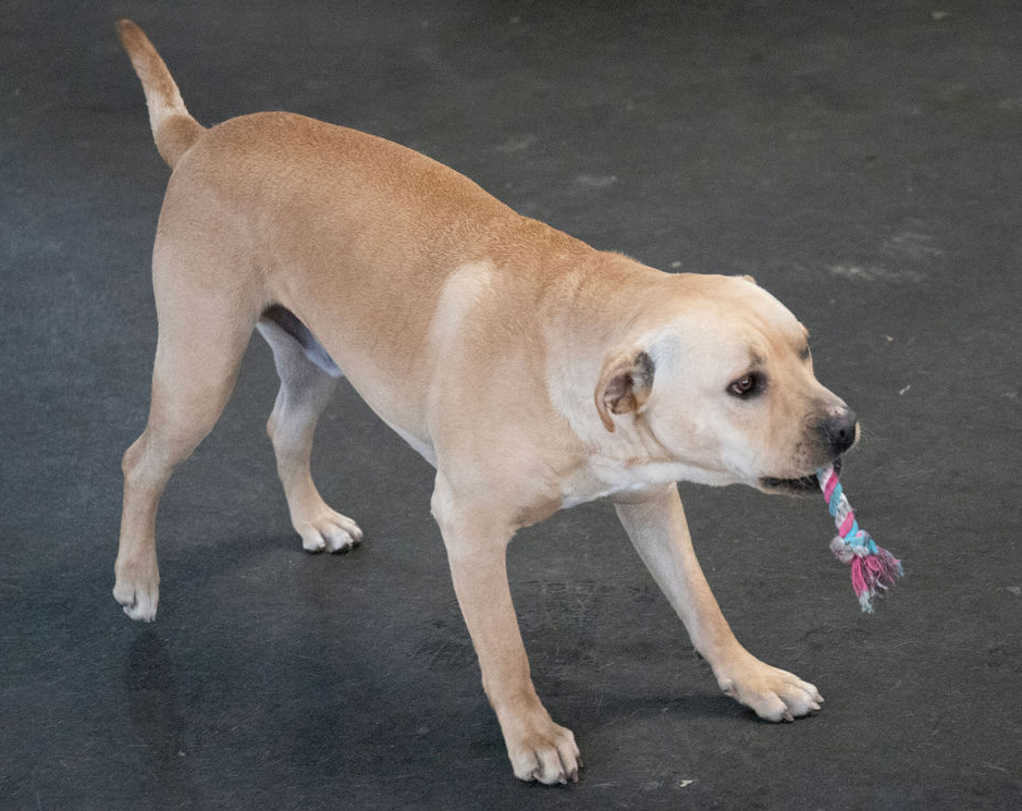 Jeremy Chubbs Jeremy Chubbs