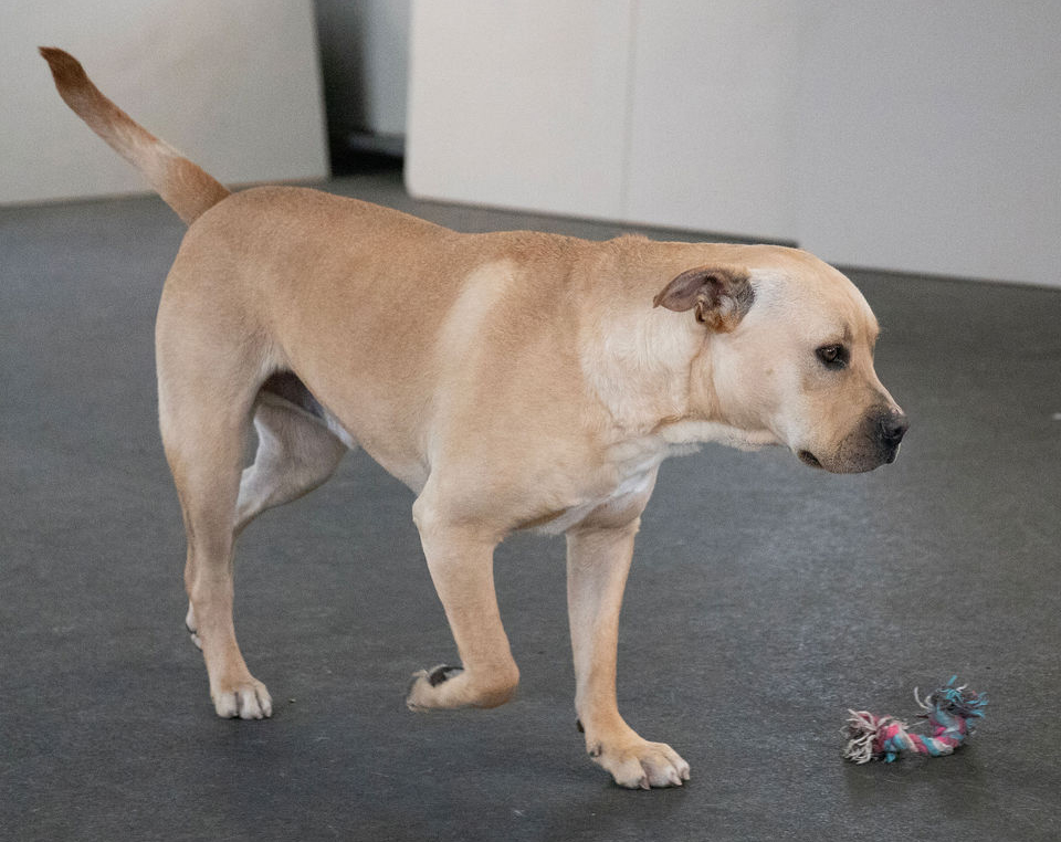 Jeremy Chubbs Jeremy Chubbs