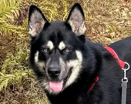 Remmy-Courtesy Listing Remmy-Courtesy Listing