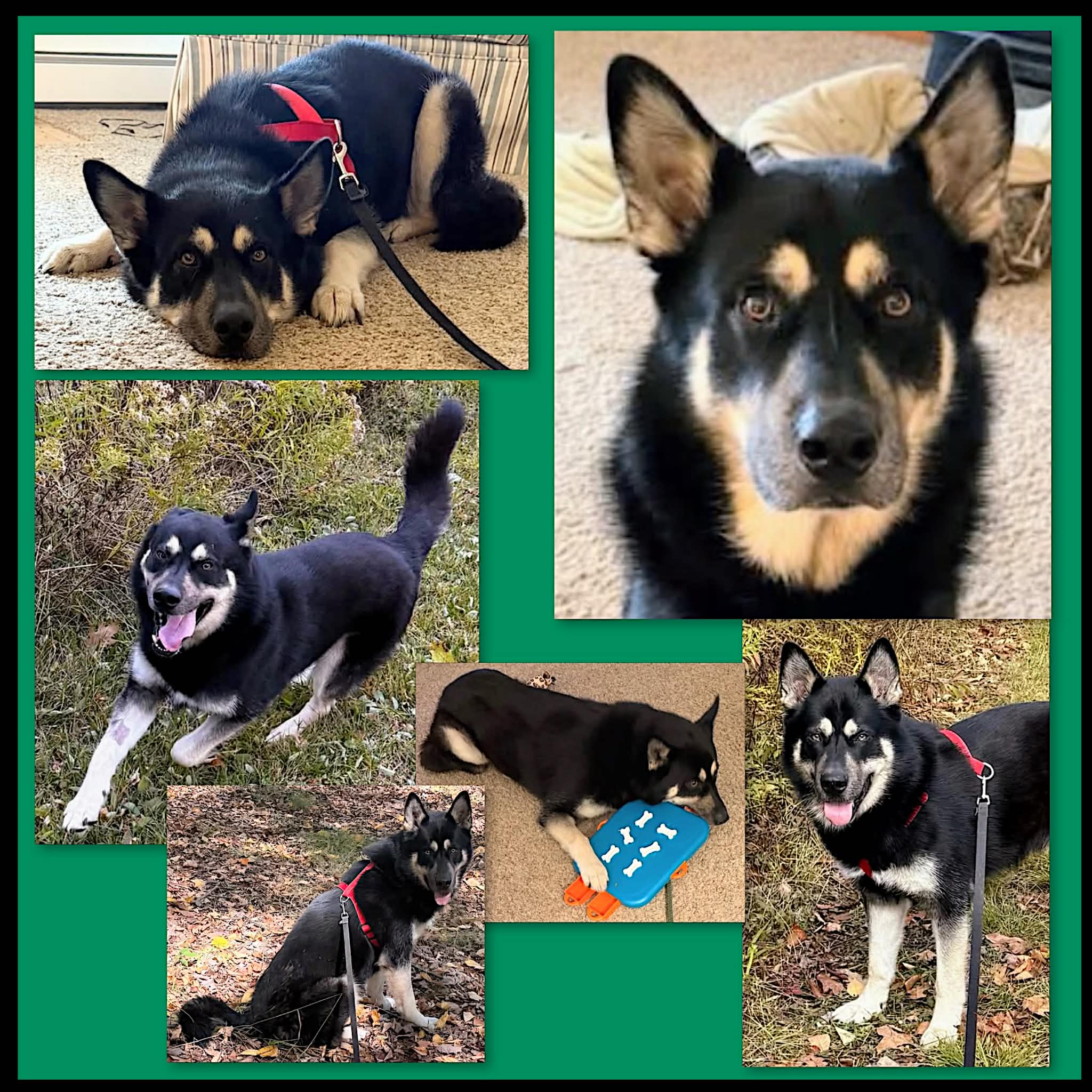 Remmy-Courtesy Listing Remmy-Courtesy Listing