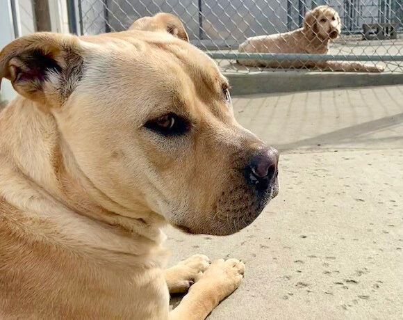 Jeremy Chubbs Jeremy Chubbs