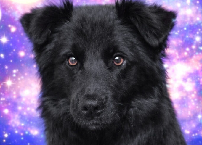 Oofo-Available Soon!