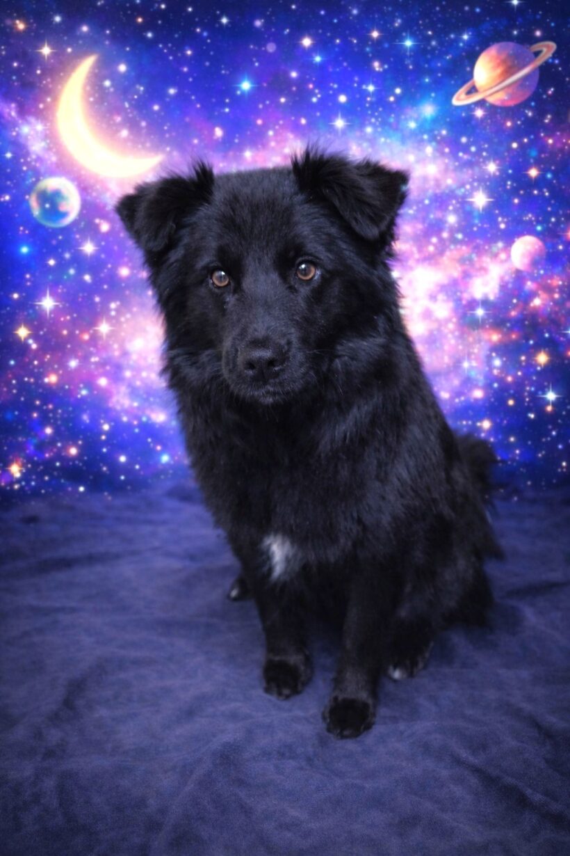 Oofo-Available Soon!