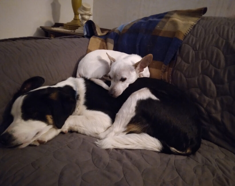 Xobo-Courtesy Listing Xobo-Courtesy Listing