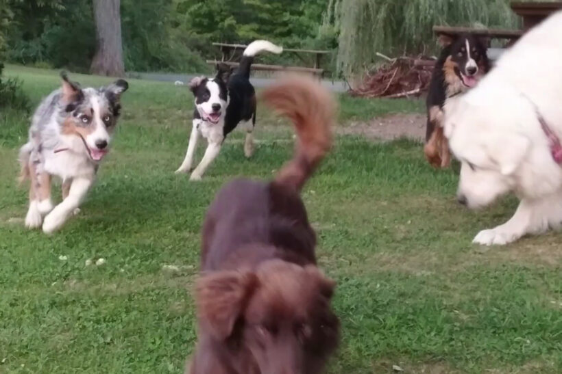 Xobo-Courtesy Listing Xobo-Courtesy Listing