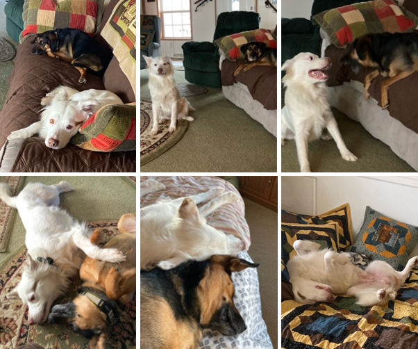 Cooper and Lexie Cooper and Lexie