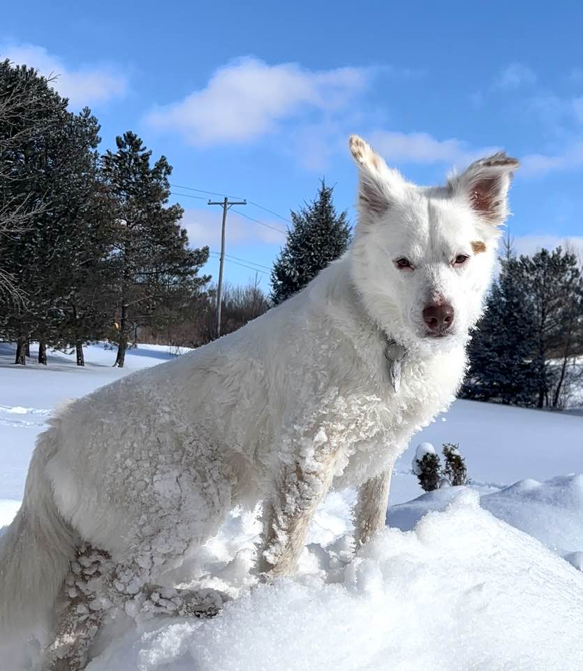 Cooper and Lexie Cooper and Lexie