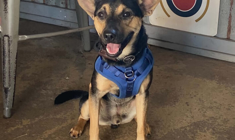 Kevin-Adopted!