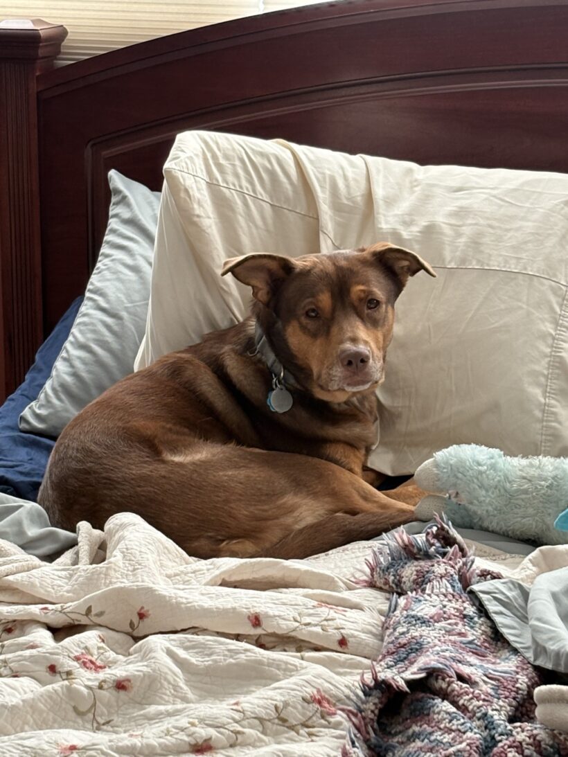 Sophie