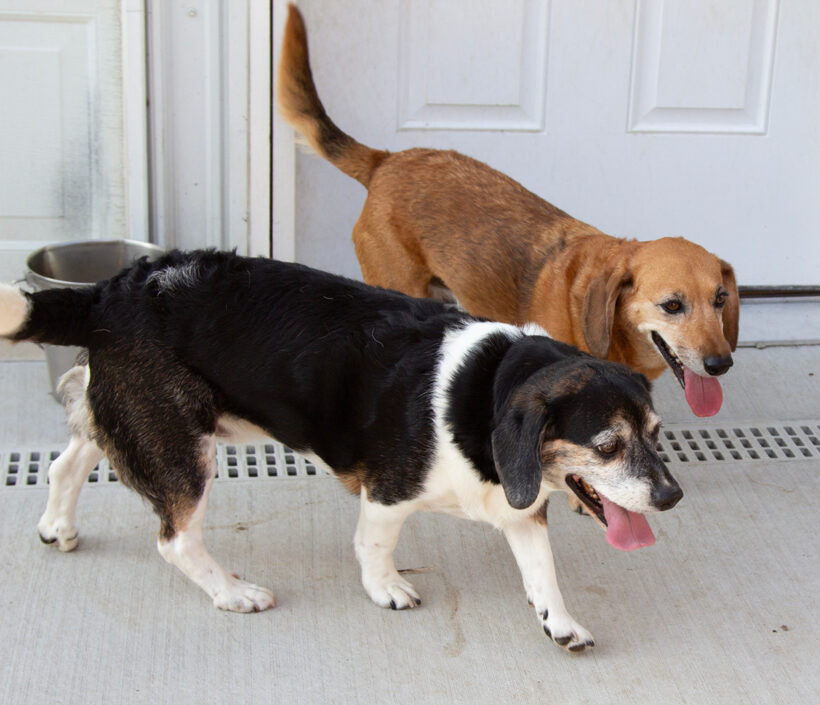 Wally & Trudie