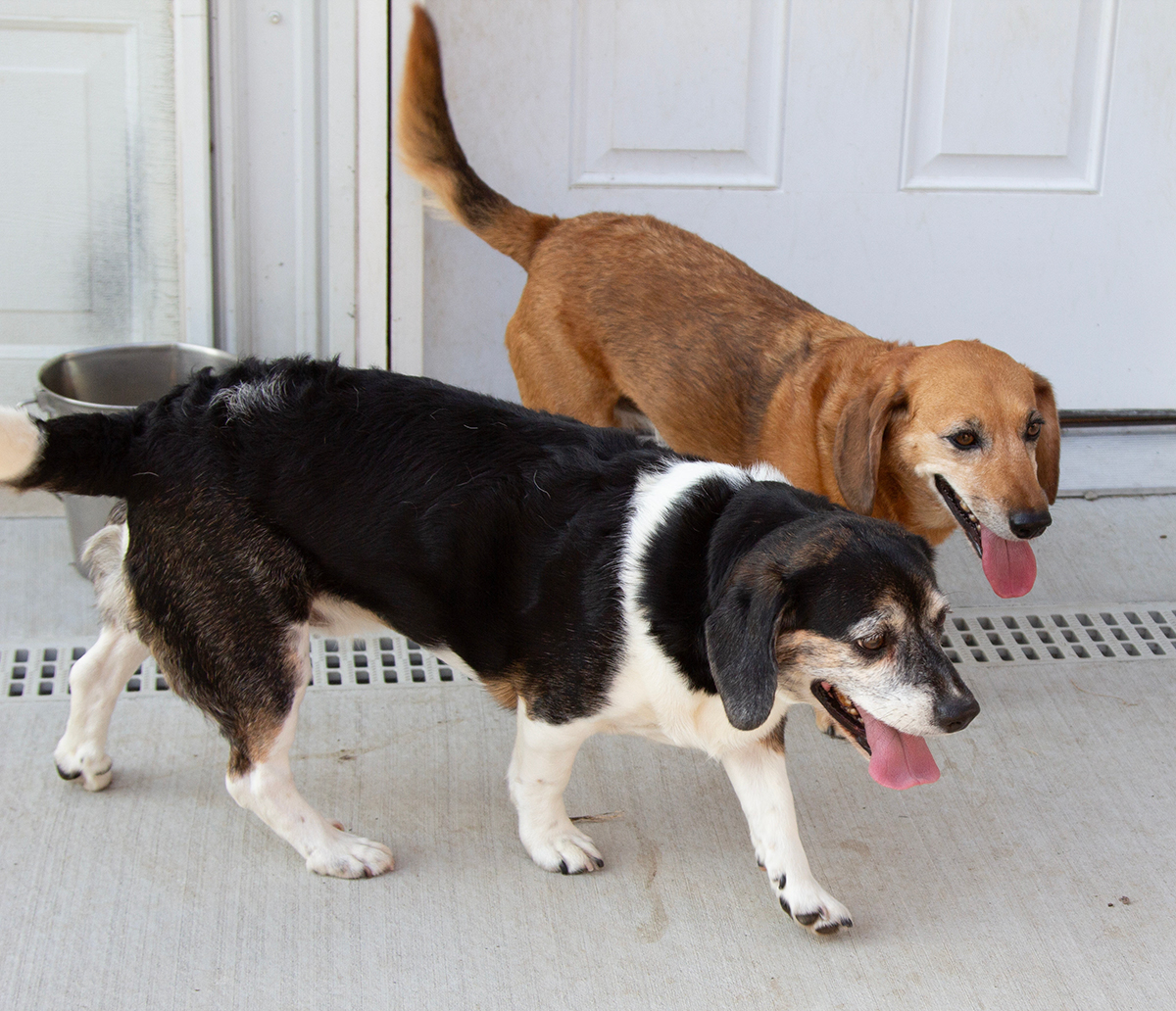 Wally & Trudie Wally & Trudie
