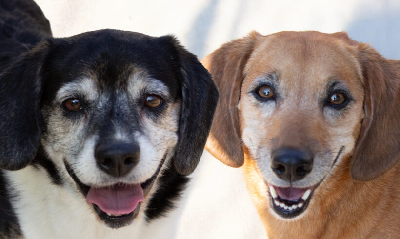 Wally & Trudie
