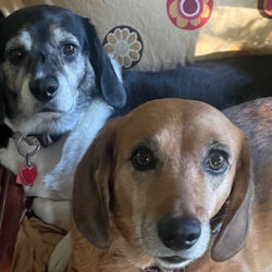 Wally & Trudy-Arriving Soon!