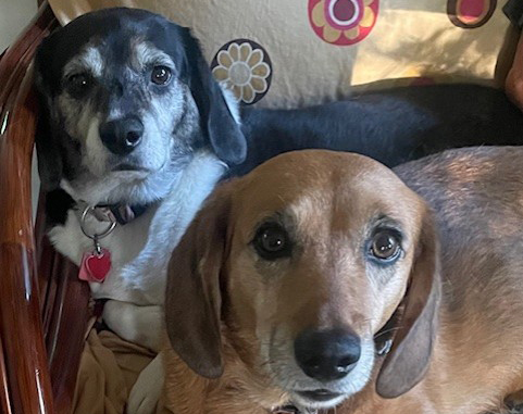 Wally & Trudy-Arriving Soon!