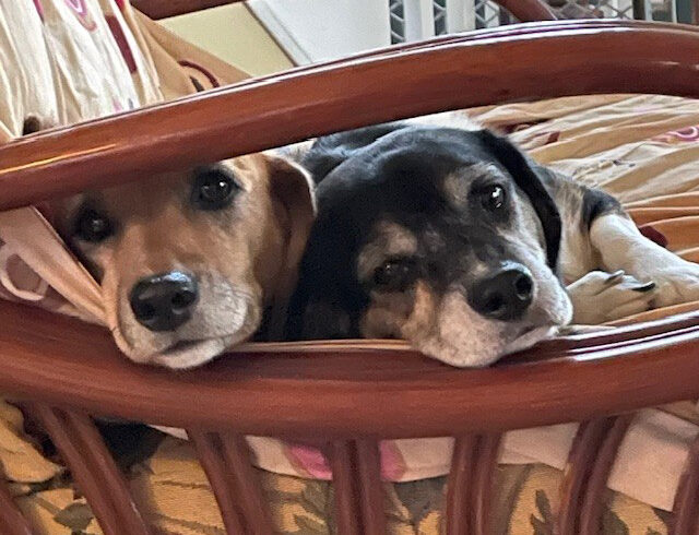 Wally & Trudy