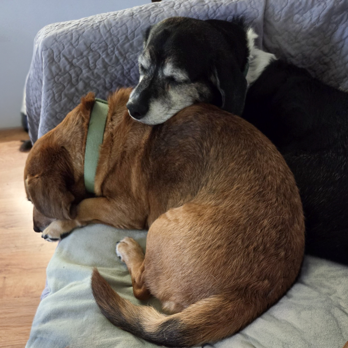 Wally & Trudie Wally & Trudie