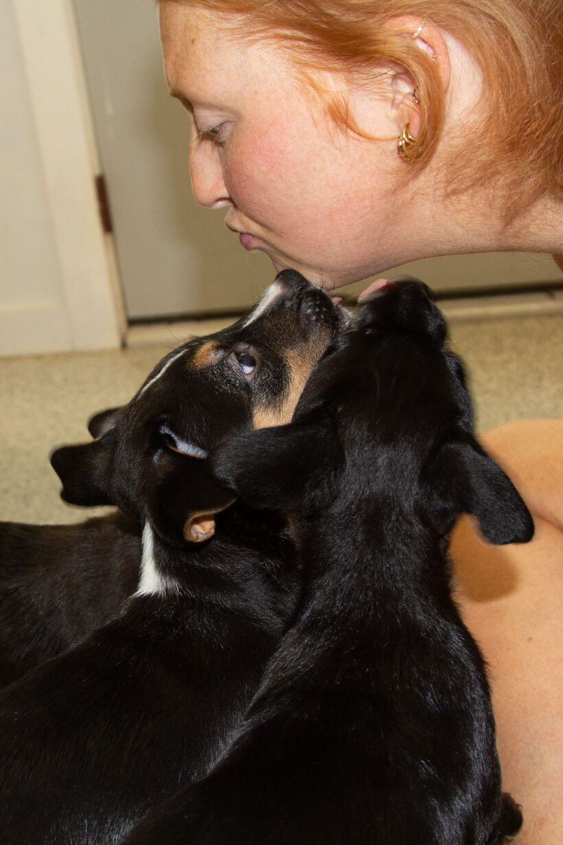 Puppies….Adopted!