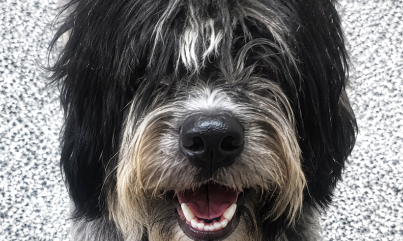 River-Adopted!